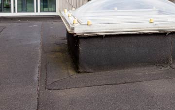 disadvantages of Pentre Cilgwyn flat roofs