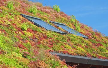 Pentre Cilgwyn living roof systems
