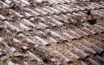 Pentre Cilgwyn roof cleaning companies